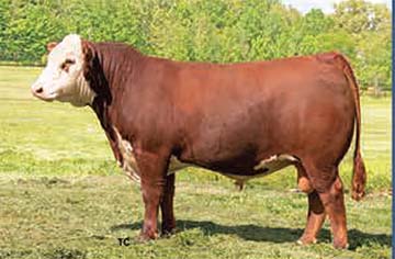 MKS 0016 99J Final Chance 02L