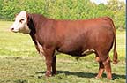 MKS 0016 99J Final Chance 02L