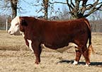 NJW 73S 3304 Taylor 112D ET