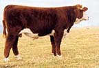 C Milestone 9150