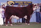 NJW 79F Boulder 36M