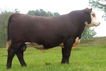 TRM Genetic Choice 7084