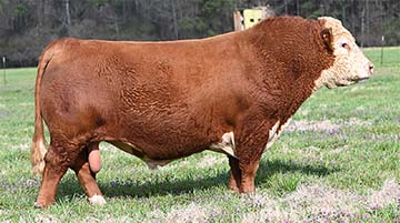 Churchill BR 5JNationwide 179J